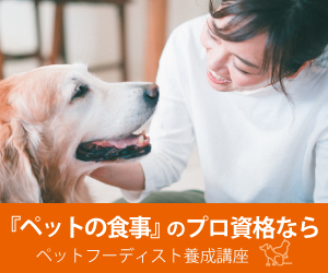 道東 北海道 の愛犬と一緒に泊まれる宿 ペット想い Com