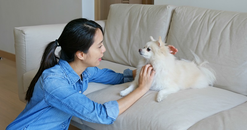 飼い主女性